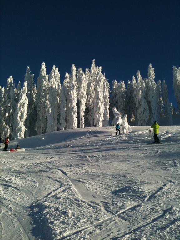 Kitz Residenz Top 6 Kaprun Cameră foto